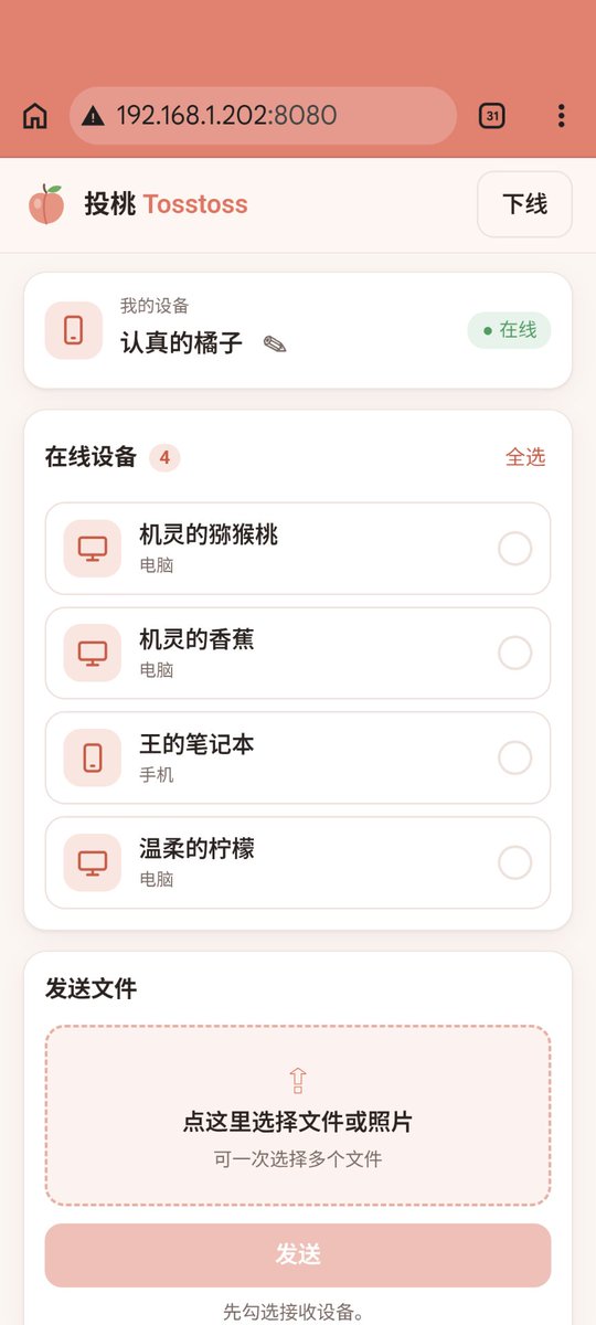 On a computer: the devices online, each with its own name.